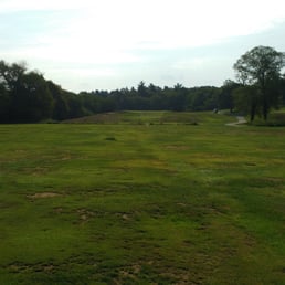 Burnt dead fairways Burnt dead fairways