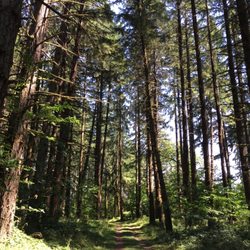 Jean's Park