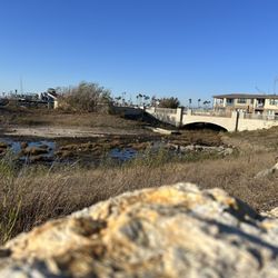 City Of Seal Beach