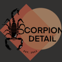 Photo of Scorpion Detail