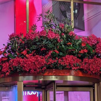 Macy's - Flower show 2024- entryway - Department Stores Near Me - New York, New York Macy's - Flower show 2024- entryway - Department Stores Near Me - New York, New York