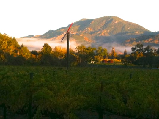 Joseph Cellars Winery by null