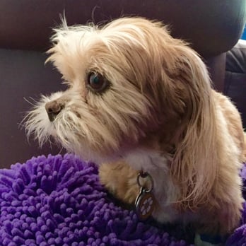 Paw Prints - Pet Stores Near Me - Highlands Ranch, Colorado