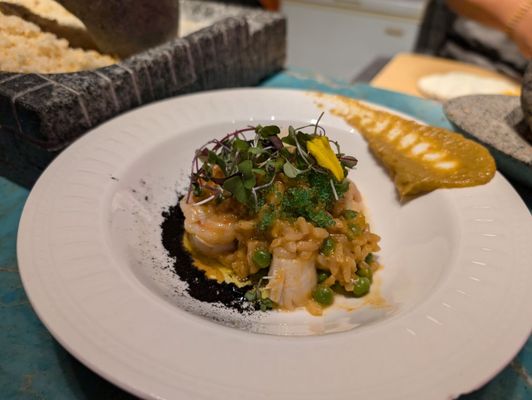 The Hummingbird | Ceviche House by null