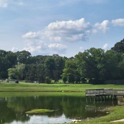 Johnson Road Park
