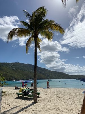 Magens Bay Beach by null