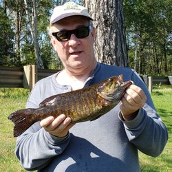 Michi-Aho Resort - I caught an 18 inch smallmouth from the bridge (one of the best locations on the river to catch fish).