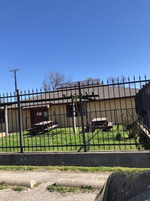 Ramblin Rose by null