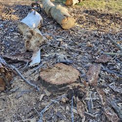 J Pattison Stump Grinding Services