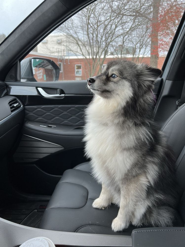 PETLAND CICERO Updated September 2024 21 Reviews 5701 Circle Dr