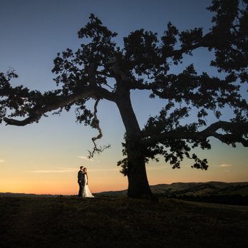 Taber Ranch Vineyard & Event Center - undefined - Venues & Event Spaces Near Me - Capay, California