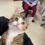 Photo of Fresh Pond Animal Hospital