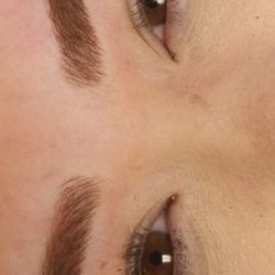 The Face Place - Combo brows.