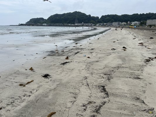 Kamakura Yuigahama Beach by null