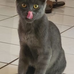 Bruce