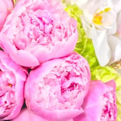 belle fleur - We deliver from West Palm Beach up to the Florida Keys: Pompano Beach, Boca Ratón, Fort Lauderdale, Miami, Homestead and South Beach