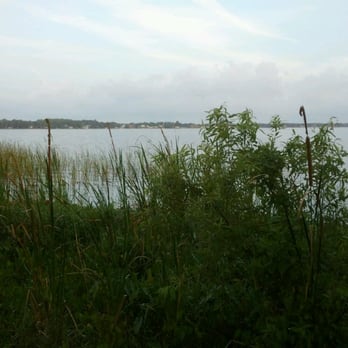 John Chesnut Sr Park - Tarpon Lake - Parks Near Me - Palm Harbor, Florida John Chesnut Sr Park - Tarpon Lake - Parks Near Me - Palm Harbor, Florida