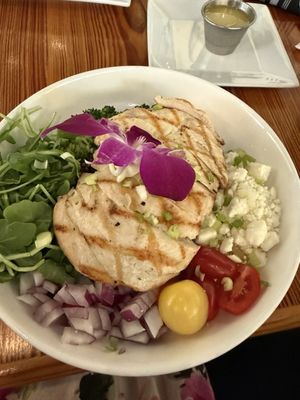 Dark Horse Restaurant by null