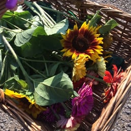 a basket full of sunflowers a basket full of sunflowers