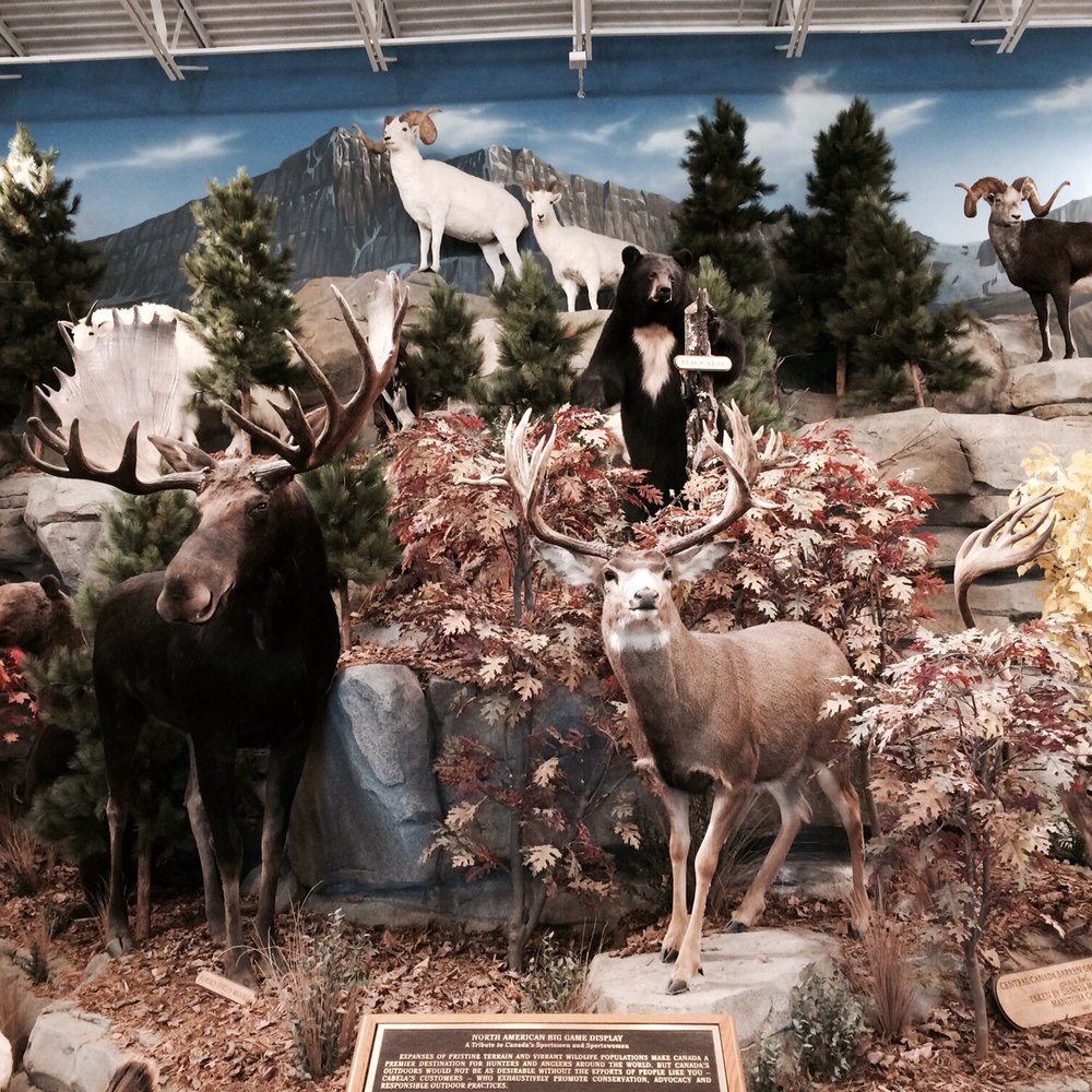 Cabela's - Other animals - Outdoor Gear Near Me - Winnipeg, Manitoba Cabela's - Other animals - Outdoor Gear Near Me - Winnipeg, Manitoba