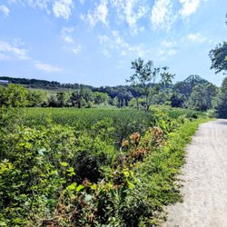 Towpath Trail by Stumpy Basin