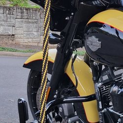 Redneckside Motorcycle Whips