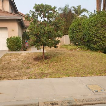 Green Team Landscapers - Before - Landscaping Near Me - Ventura, California Green Team Landscapers - Before - Landscaping Near Me - Ventura, California