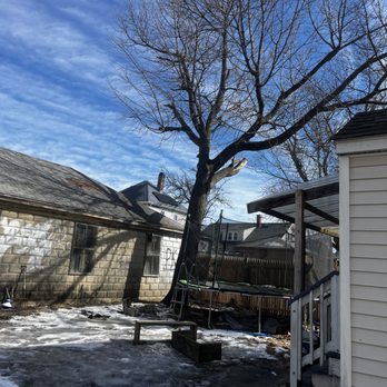 Johnny's Landscaping And Tree Service - Tree Services Near Me - Johnston, Rhode Island Johnny's Landscaping And Tree Service - Tree Services Near Me - Johnston, Rhode Island