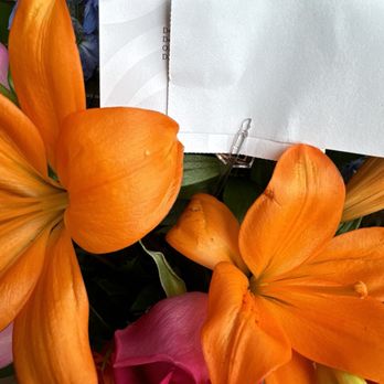 Flowerama of Plano - the damaged flower on right - Florists Near Me - Plano, Texas Flowerama of Plano - the damaged flower on right - Florists Near Me - Plano, Texas
