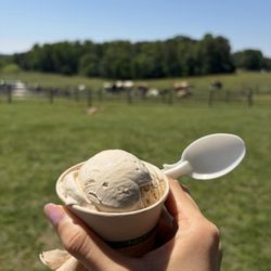 Howling Cow Dairy Education Center and Creamery - Ice cream and a view!