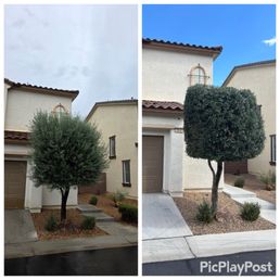 Before and after picture for reference.