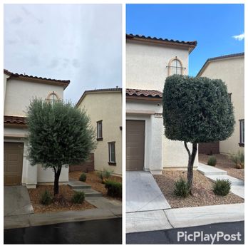 Oscar Landscaping - Before and after picture for reference. - Landscaping Near Me