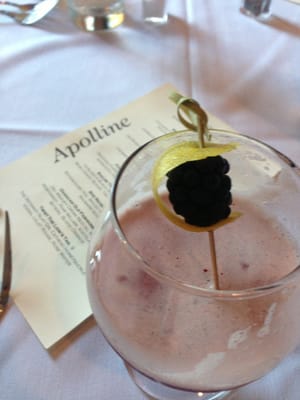 Apolline by null