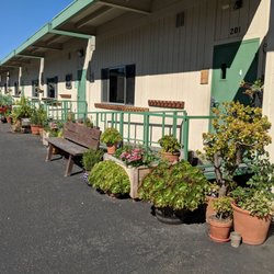 Journey School - Class Alley.