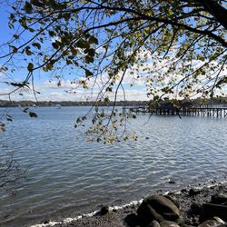 Bayside Marina