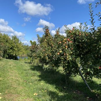 The Big'r Apple Farm - Farms Near Me - Brampton, Ontario