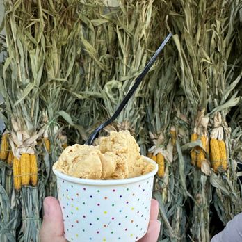 Farmstead ice cream - Pumpkin ice cream - Ice Cream & Frozen Yogurt Near Me - Burlington, Connecticut Farmstead ice cream - Pumpkin ice cream - Ice Cream & Frozen Yogurt Near Me - Burlington, Connecticut