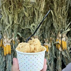Farmstead ice cream - Pumpkin ice cream