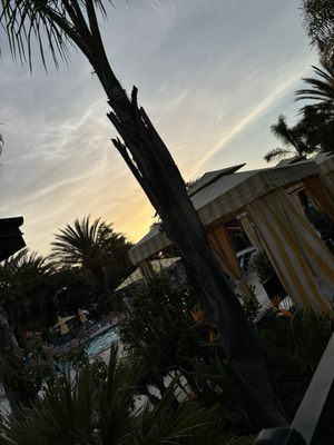 Flying Flags RV Resort & Campground by null