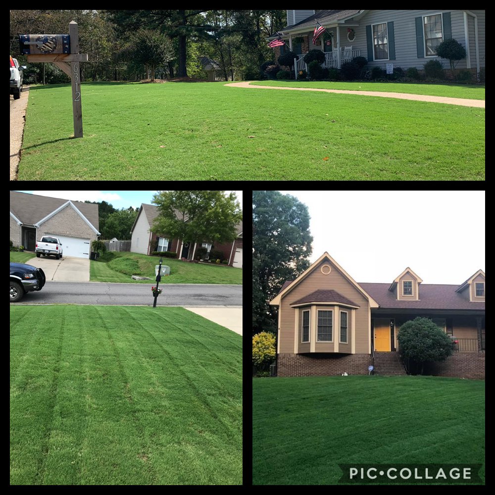 TLC Lawn Care & Landscaping - tree service in Warrior, AL