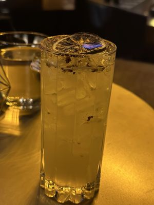 The Vinyl Society by null