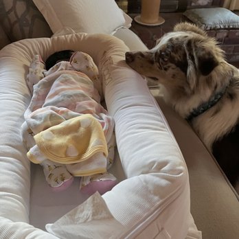 Innova Wellness - My rainbow baby and her brother Jax. Thank you Danielle. - Acupuncture Near Me - Glendale, California Innova Wellness - My rainbow baby and her brother Jax. Thank you Danielle. - Acupuncture Near Me - Glendale, California