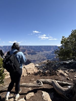 Mather Point by null