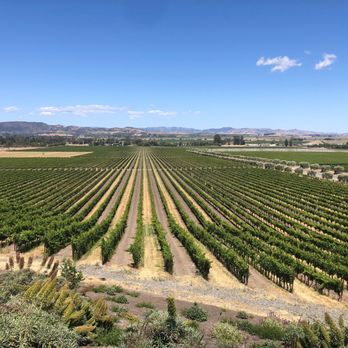 Gloria Ferrer Winery - Vineyard and valley views for miles. - Wineries Near Me - Sonoma, California Gloria Ferrer Winery - Vineyard and valley views for miles. - Wineries Near Me - Sonoma, California