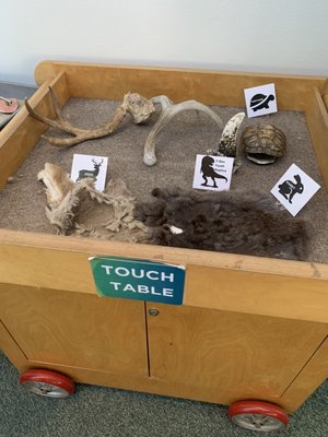 Stough Canyon Nature Center by null