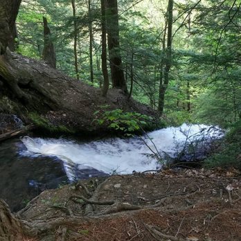 Zoar Valley - Parks Near Me