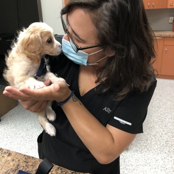 Hometown Veterinary Hospital - Veterinarians Near Me - Rochester, Michigan Hometown Veterinary Hospital - Veterinarians Near Me - Rochester, Michigan