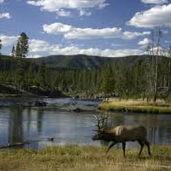 Bearclaw Sales and Service