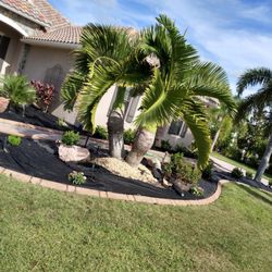 Paradise Lawn & Landscape