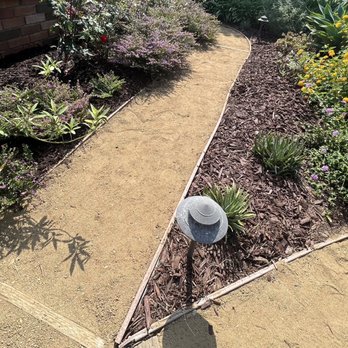 View Scape Design - a garden with flowers and plants - Landscaping Near Me